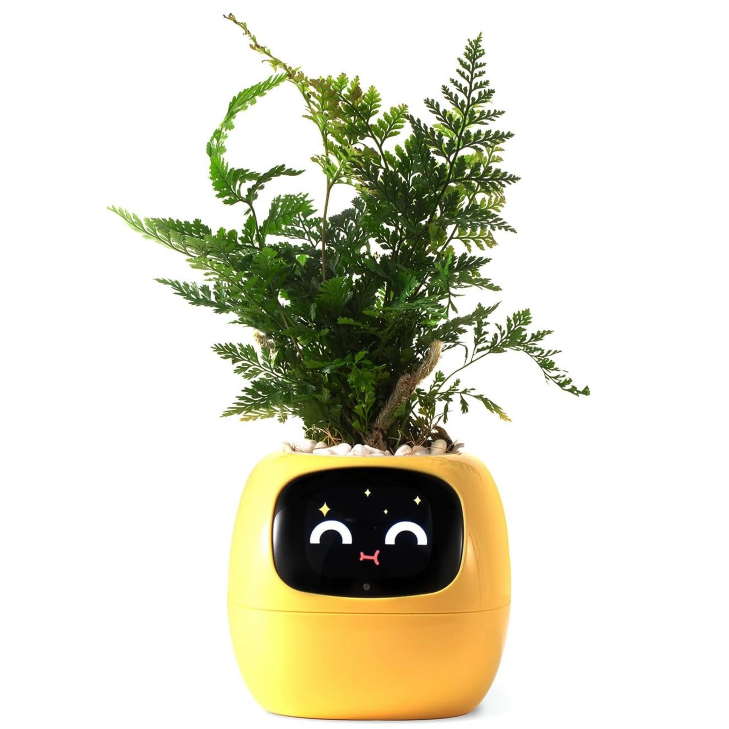 Tuya Ivy Smart Planter