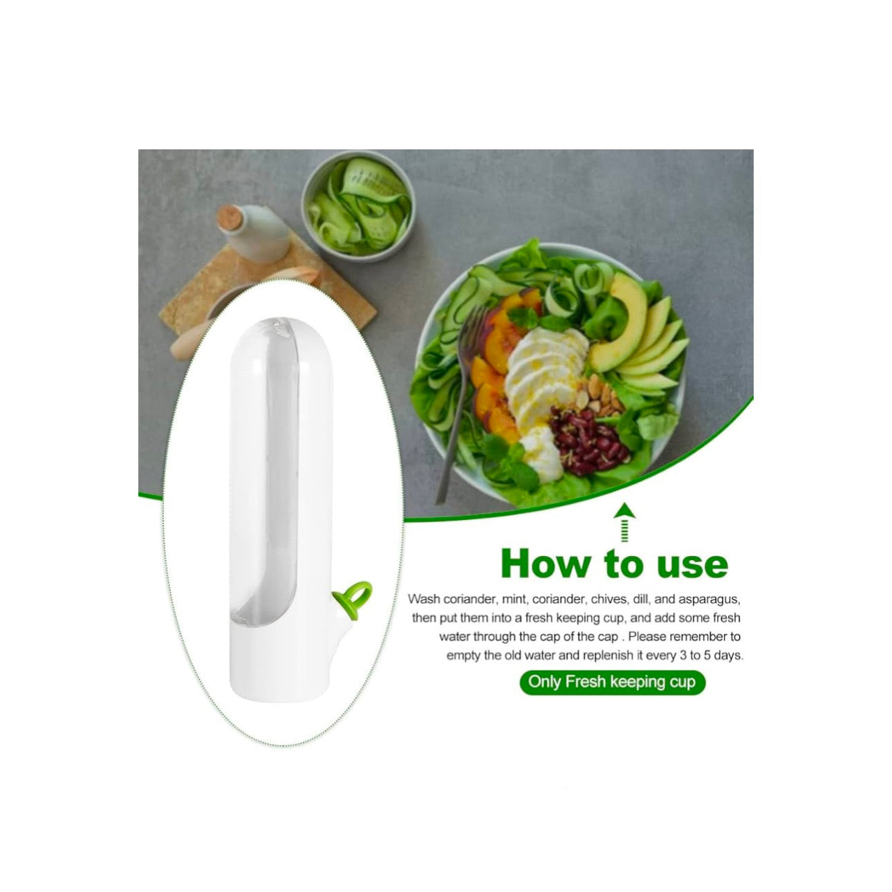 Creative Eco Fresh-keeping Box for Vegetables - storedevanci