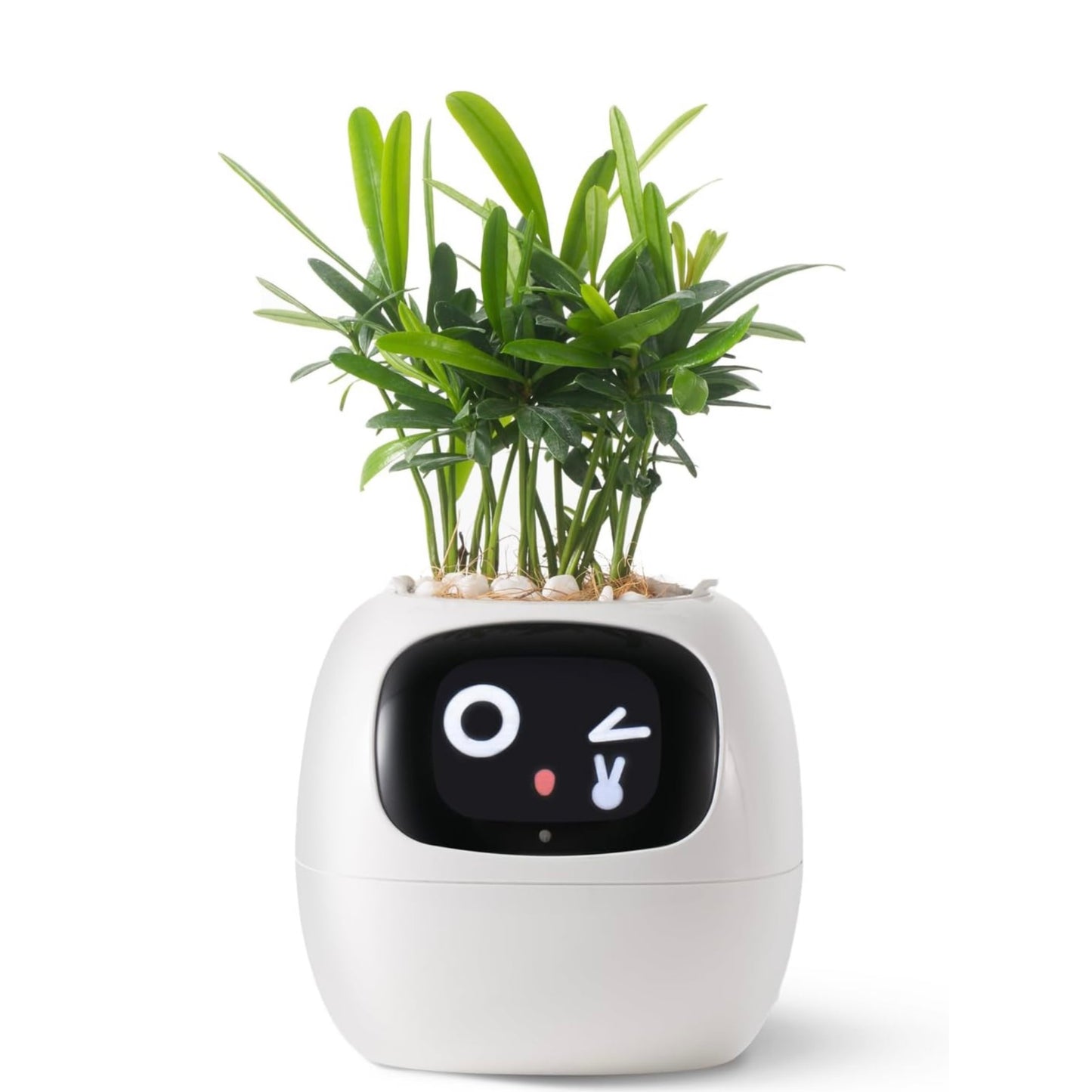 Tuya Ivy Smart Planter