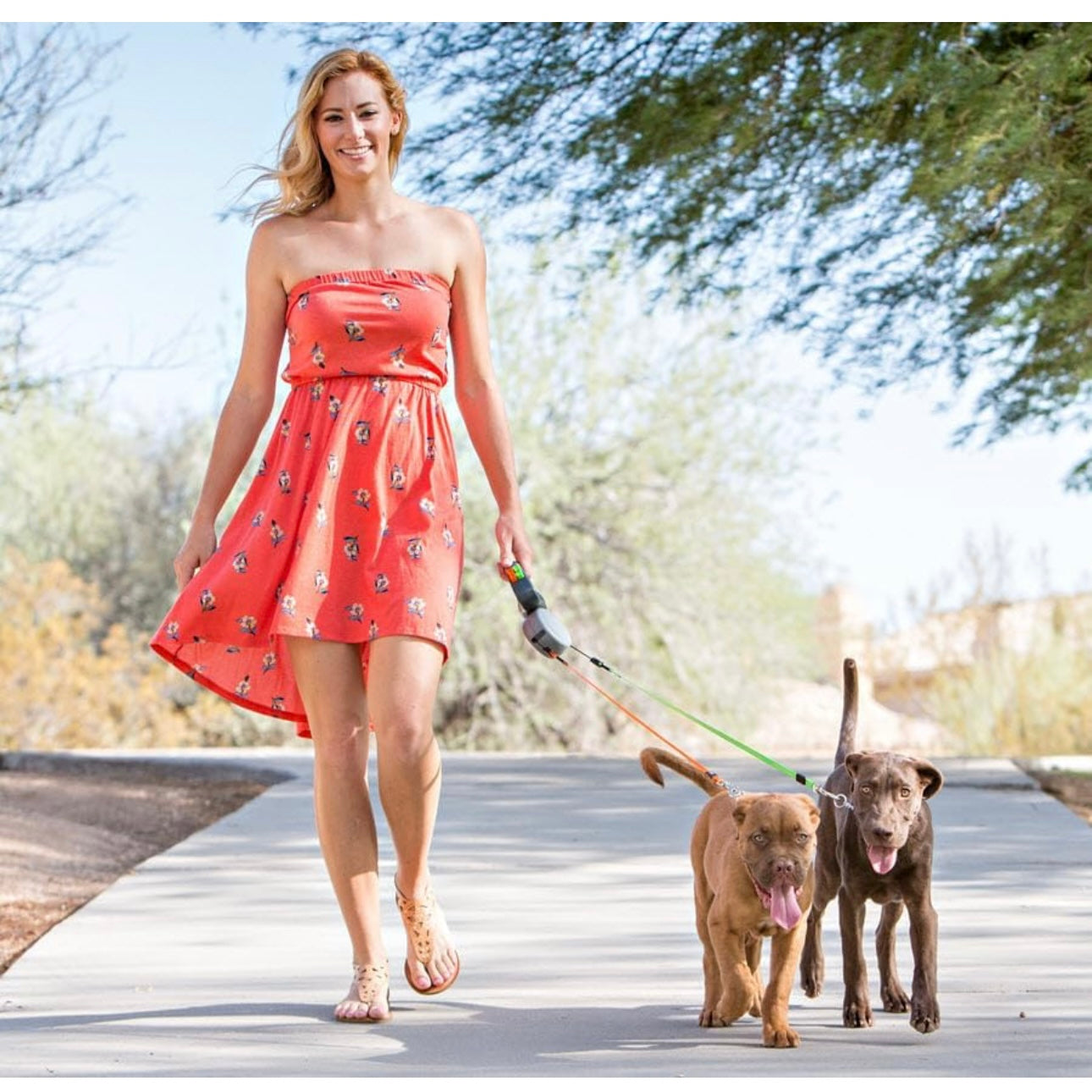 Portable Rotating Pet Leash for 2 Dogs, Double End Leash, Light Retractable Roulette, Walking Supplies - storedevanci