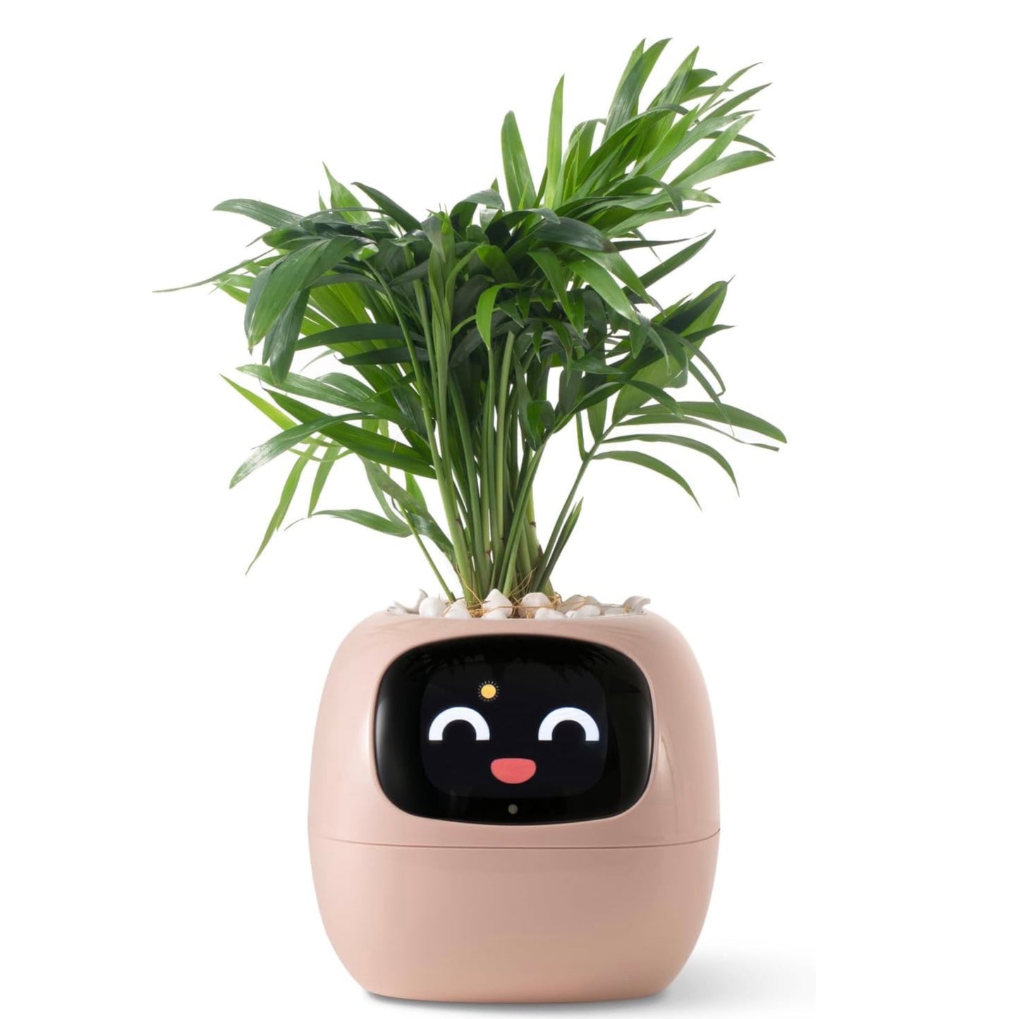 Tuya Ivy Smart Planter