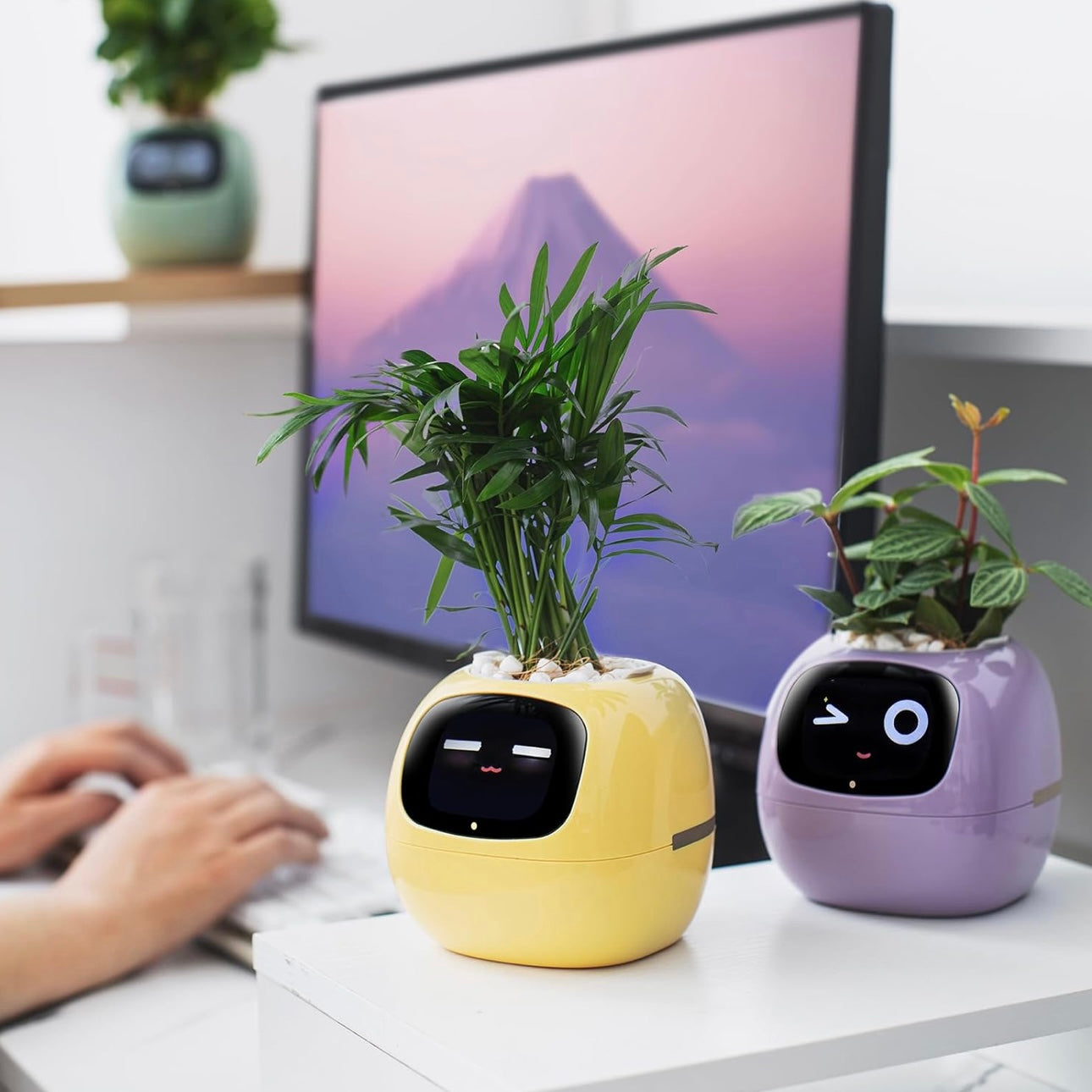 Tuya Ivy Smart Planter
