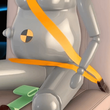 Pregnancy Safety Belt