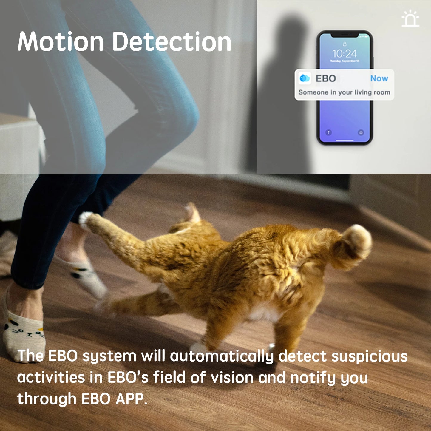 Enabot Pet Camera: 1080P WiFi Security
