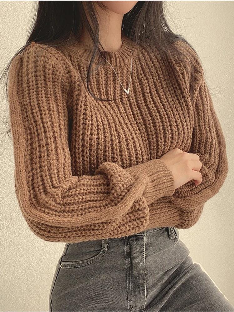 Devanci Loose Vintage Harajuku Lantern Long Sleeve Women Sweater - storedevanci