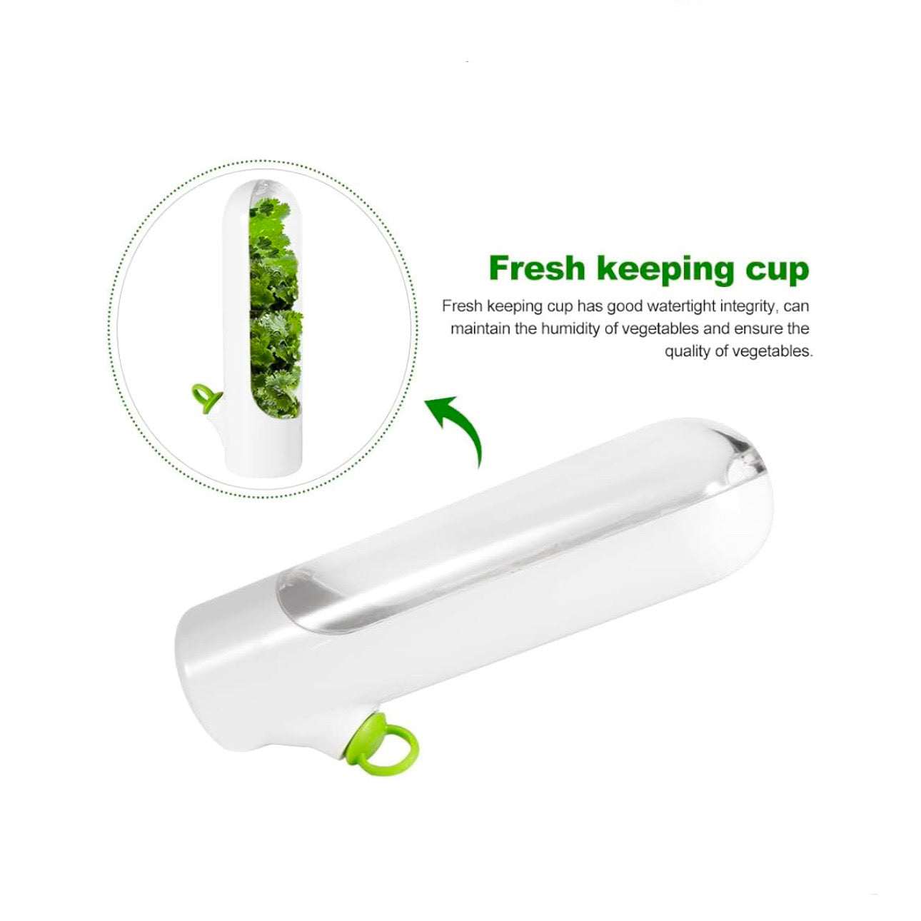 Creative Eco Fresh-keeping Box for Vegetables