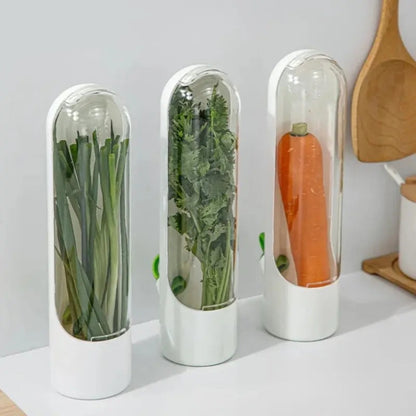 Creative Eco Fresh-keeping Box for Vegetables