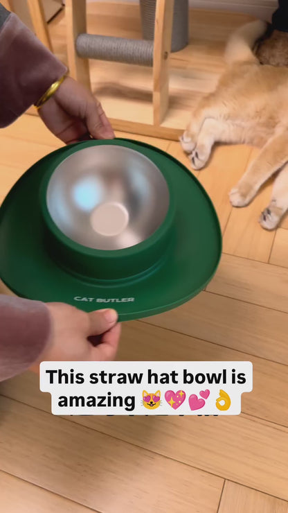 Anti-Spill Silicone & Stainless Steel Pet Bowl Set for Dogs and Cats